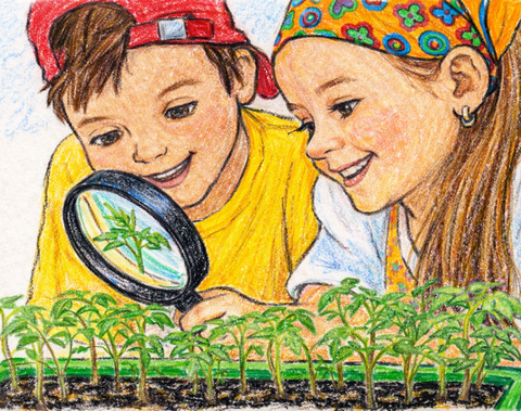 Essen spielerisch entdecken